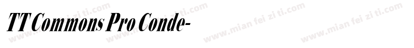 TT Commons Pro Conde字体转换